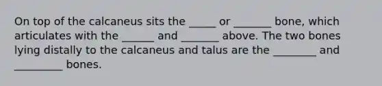 On top of the calcaneus sits the _____ or _______ bone, which articulates with the ______ and _______ above. The two bones lying distally to the calcaneus and talus are the ________ and _________ bones.