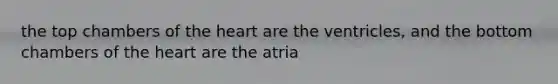 the top chambers of the heart are the ventricles, and the bottom chambers of the heart are the atria