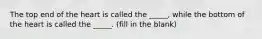The top end of the heart is called the _____, while the bottom of the heart is called the _____. (fill in the blank)