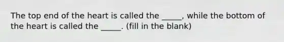 The top end of the heart is called the _____, while the bottom of the heart is called the _____. (fill in the blank)