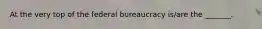 At the very top of the federal bureaucracy is/are the _______.