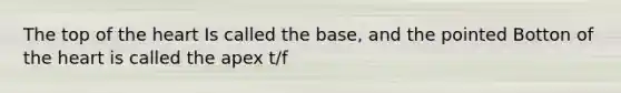 The top of the heart Is called the base, and the pointed Botton of the heart is called the apex t/f