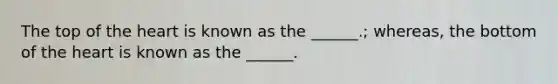 The top of the heart is known as the ______.; whereas, the bottom of the heart is known as the ______.