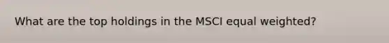 What are the top holdings in the MSCI equal weighted?