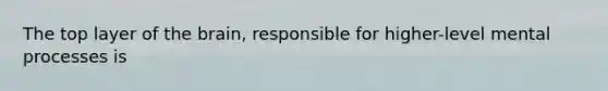 The top layer of the brain, responsible for higher-level mental processes is