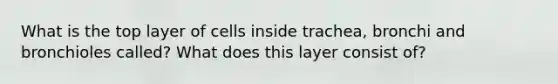 What is the top layer of cells inside trachea, bronchi and bronchioles called? What does this layer consist of?