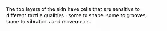 The top layers of the skin have cells that are sensitive to different tactile qualities - some to shape, some to grooves, some to vibrations and movements.