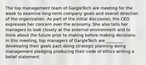 The top management team of GargleTech are meeting for the week to examine long-term company goals and overall direction of the organization. As part of the initial discussion, the CEO expresses her concern over the economy. She also tells her managers to look closely at the external environment and to think about the future prior to making before making decisions. In this meeting, top managers of GargleTech are ________. developing their goals pact doing strategic planning doing management pledging producing their code of ethics writing a belief statement