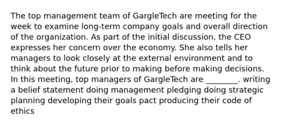 The top management team of GargleTech are meeting for the week to examine long-term company goals and overall direction of the organization. As part of the initial discussion, the CEO expresses her concern over the economy. She also tells her managers to look closely at the external environment and to think about the future prior to making before making decisions. In this meeting, top managers of GargleTech are ________. writing a belief statement doing management pledging doing strategic planning developing their goals pact producing their code of ethics