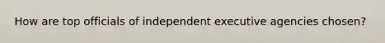 How are top officials of independent executive agencies chosen?