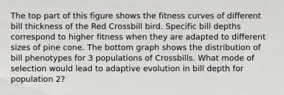 The top part of this figure shows the fitness curves of different bill thickness of the Red Crossbill bird. Specific bill depths correspond to higher fitness when they are adapted to different sizes of pine cone. The bottom graph shows the distribution of bill phenotypes for 3 populations of Crossbills. What mode of selection would lead to adaptive evolution in bill depth for population 2?