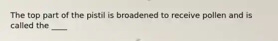 The top part of the pistil is broadened to receive pollen and is called the ____