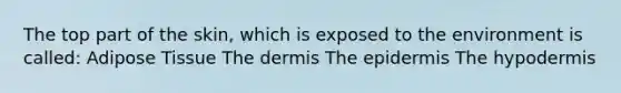 The top part of the skin, which is exposed to the environment is called: Adipose Tissue The dermis The epidermis The hypodermis