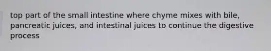 top part of <a href='https://www.questionai.com/knowledge/kt623fh5xn-the-small-intestine' class='anchor-knowledge'>the small intestine</a> where chyme mixes with bile, pancreatic juices, and intestinal juices to continue the digestive process