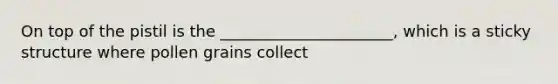 On top of the pistil is the ______________________, which is a sticky structure where pollen grains collect