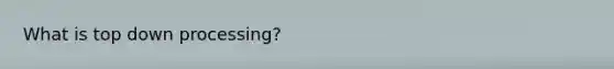 What is top down processing?