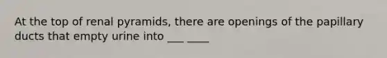 At the top of renal pyramids, there are openings of the papillary ducts that empty urine into ___ ____