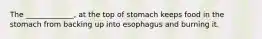 The _____________, at the top of stomach keeps food in the stomach from backing up into esophagus and burning it.