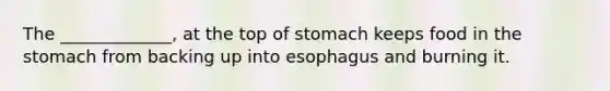 The _____________, at the top of stomach keeps food in the stomach from backing up into esophagus and burning it.