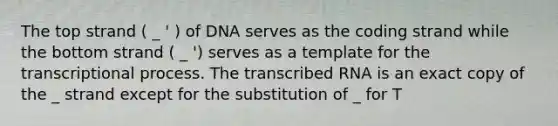 The top strand ( _ ' ) of DNA serves as the coding strand while the bottom strand ( _ ') serves as a template for the transcriptional process. The transcribed RNA is an exact copy of the _ strand except for the substitution of _ for T