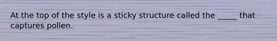 At the top of the style is a sticky structure called the _____ that captures pollen.