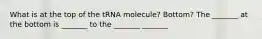 What is at the top of the tRNA molecule? Bottom? The _______ at the bottom is _______ to the _______ _______