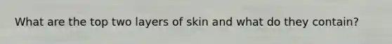 What are the top two layers of skin and what do they contain?