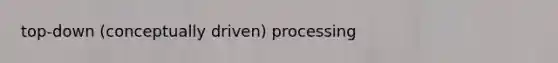 top-down (conceptually driven) processing