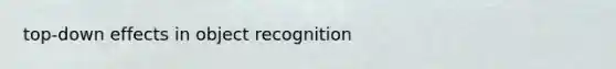 top-down effects in object recognition