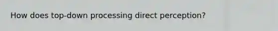 How does top-down processing direct perception?