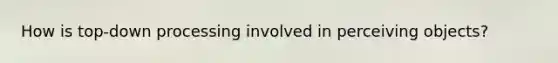 How is top-down processing involved in perceiving objects?