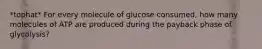 *tophat* For every molecule of glucose consumed, how many molecules of ATP are produced during the payback phase of glycolysis?