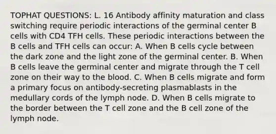 TOPHAT QUESTIONS: L. 16 Antibody affinity maturation and class switching require periodic interactions of the germinal center B cells with CD4 TFH cells. These periodic interactions between the B cells and TFH cells can occur: A. When B cells cycle between the dark zone and the light zone of the germinal center. B. When B cells leave the germinal center and migrate through the T cell zone on their way to the blood. C. When B cells migrate and form a primary focus on antibody-secreting plasmablasts in the medullary cords of the lymph node. D. When B cells migrate to the border between the T cell zone and the B cell zone of the lymph node.