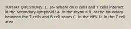 TOPHAT QUESTIONS: L. 16- Where do B cells and T cells interact in the secondary lymphoid? A. in the thymus B. at the boundary between the T cells and B cell zones C. in the HEV D. in the T cell area