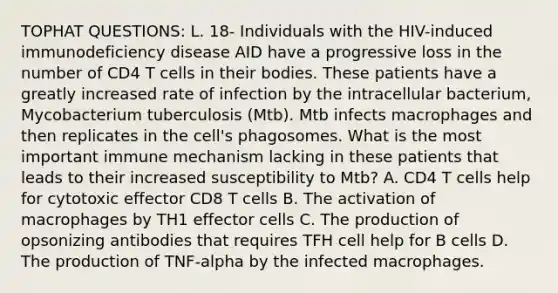 TOPHAT QUESTIONS: L. 18- Individuals with the HIV-induced immunodeficiency disease AID have a progressive loss in the number of CD4 T cells in their bodies. These patients have a greatly increased rate of infection by the intracellular bacterium, Mycobacterium tuberculosis (Mtb). Mtb infects macrophages and then replicates in the cell's phagosomes. What is the most important immune mechanism lacking in these patients that leads to their increased susceptibility to Mtb? A. CD4 T cells help for cytotoxic effector CD8 T cells B. The activation of macrophages by TH1 effector cells C. The production of opsonizing antibodies that requires TFH cell help for B cells D. The production of TNF-alpha by the infected macrophages.