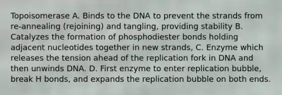 Topoisomerase A. Binds to the DNA to prevent the strands from re-annealing (rejoining) and tangling, providing stability B. Catalyzes the formation of phosphodiester bonds holding adjacent nucleotides together in new strands, C. Enzyme which releases the tension ahead of the replication fork in DNA and then unwinds DNA. D. First enzyme to enter replication bubble, break H bonds, and expands the replication bubble on both ends.