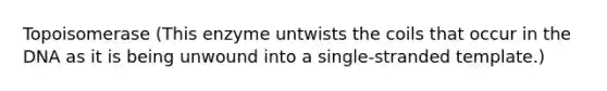 Topoisomerase (This enzyme untwists the coils that occur in the DNA as it is being unwound into a single-stranded template.)