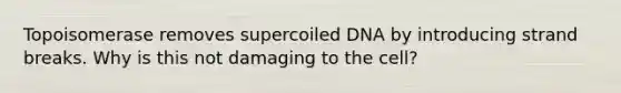 Topoisomerase removes supercoiled DNA by introducing strand breaks. Why is this not damaging to the cell?