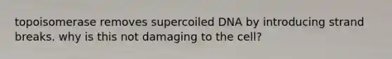 topoisomerase removes supercoiled DNA by introducing strand breaks. why is this not damaging to the cell?