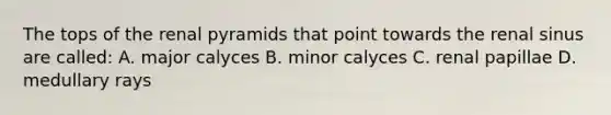 The tops of the renal pyramids that point towards the renal sinus are called: A. major calyces B. minor calyces C. renal papillae D. medullary rays