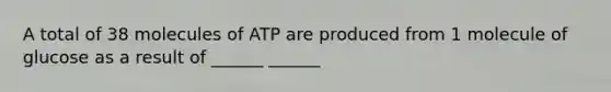 A total of 38 molecules of ATP are produced from 1 molecule of glucose as a result of ______ ______