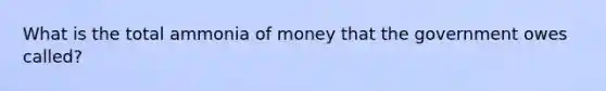 What is the total ammonia of money that the government owes called?