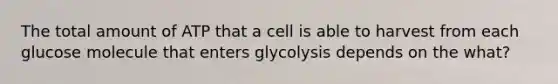 The total amount of ATP that a cell is able to harvest from each glucose molecule that enters glycolysis depends on the what?