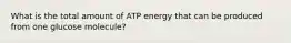 What is the total amount of ATP energy that can be produced from one glucose molecule?