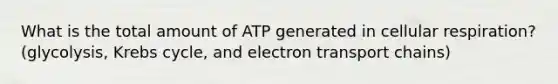 What is the total amount of ATP generated in cellular respiration? (glycolysis, Krebs cycle, and electron transport chains)