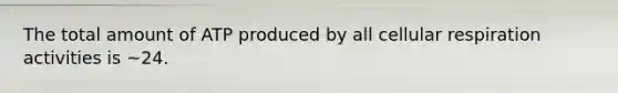 The total amount of ATP produced by all cellular respiration activities is ~24.