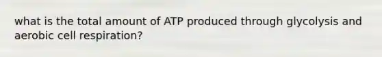 what is the total amount of ATP produced through glycolysis and aerobic cell respiration?