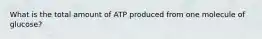 What is the total amount of ATP produced from one molecule of glucose?