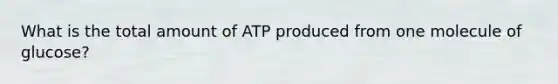 What is the total amount of ATP produced from one molecule of glucose?