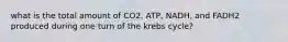 what is the total amount of CO2, ATP, NADH, and FADH2 produced during one turn of the krebs cycle?